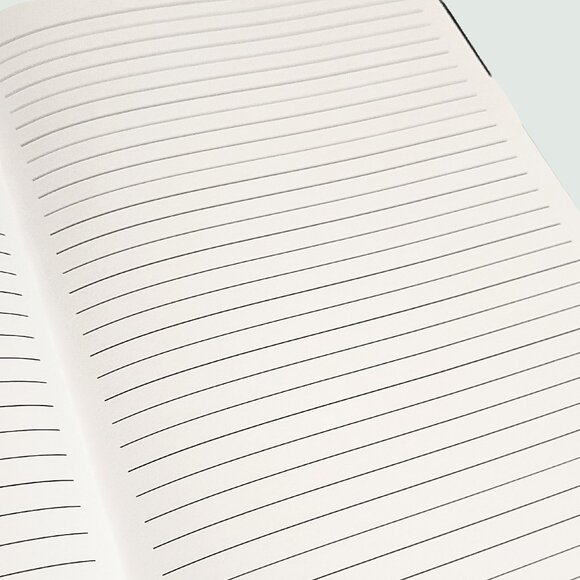 Red - Novelty Journal - Picture 4 of 4